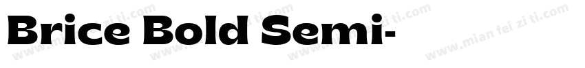 Brice Bold Semi字体转换